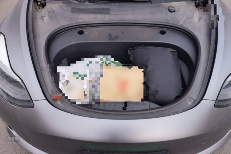 Tesla Model 3 2021 car image #22