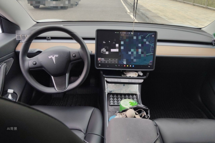 Tesla Model 3 2020 car image #11
