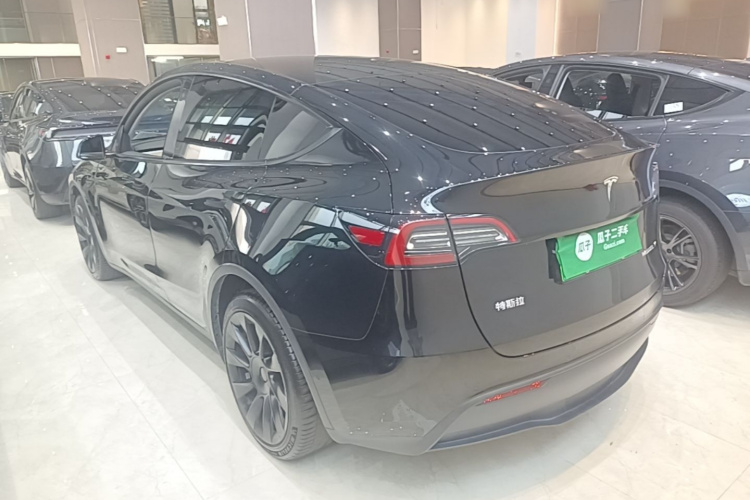 Tesla Model Y 2021 #5 Tesla Model Y 2021 car image #5