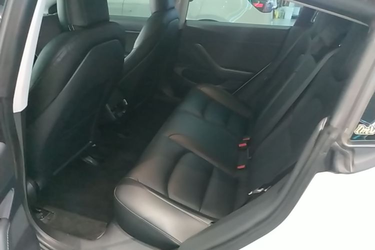 Tesla Model 3 2020 #17 Tesla Model 3 2020 car image #17