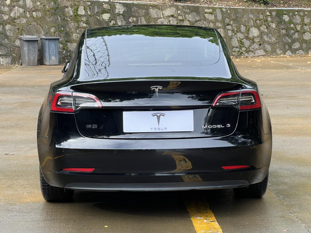 Tesla Model 3 2021 #5 Tesla Model 3 2021 car image #5