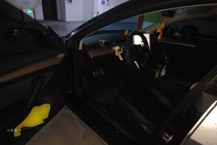 Tesla Model 3 2023 car image #18
