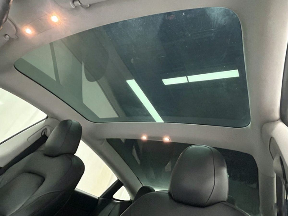 Tesla Model 3 2020 #9 Tesla Model 3 2020 car image #9