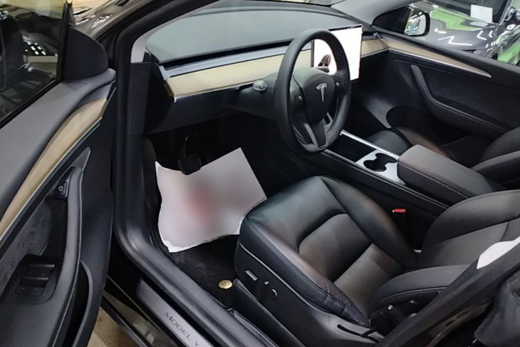 Tesla Model Y 2021 car image #16