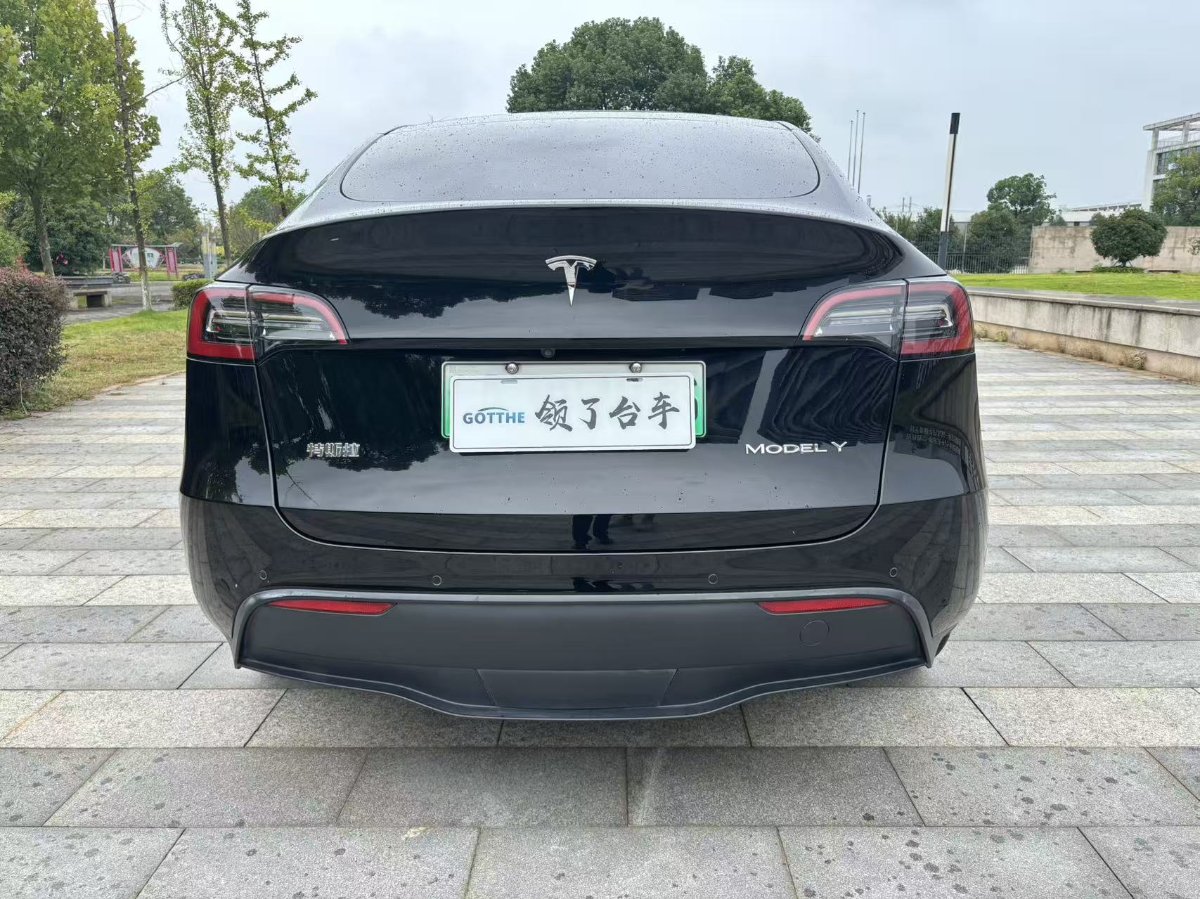Tesla Model Y 2021 car image #5