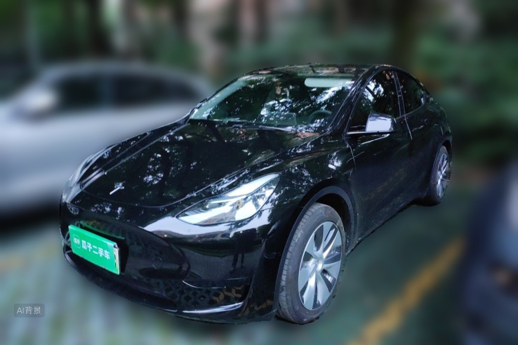 Tesla Model Y 2022 #2 Tesla Model Y 2022 car image #2