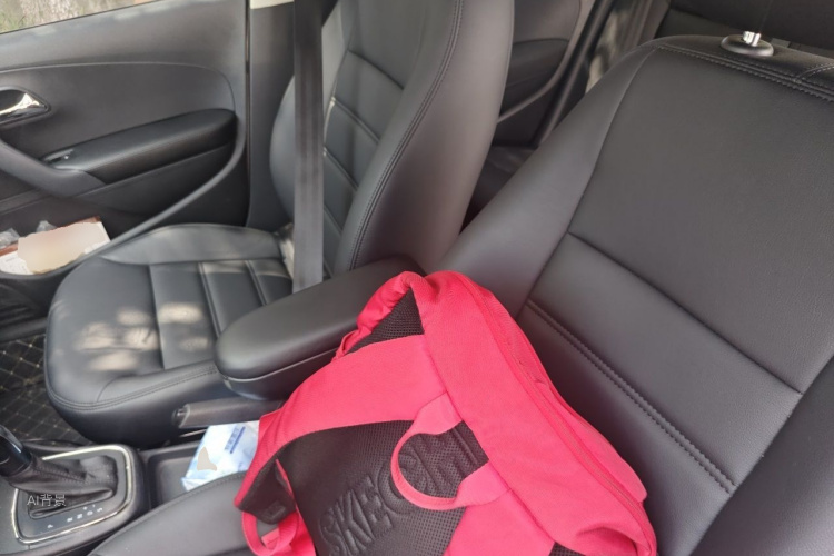 Volkswagen Polo 2014 car image #17