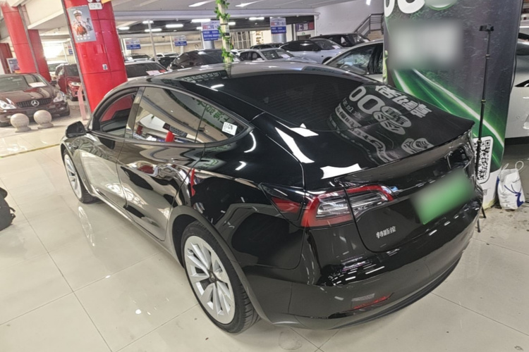 Tesla Model 3 2021 #5 Tesla Model 3 2021 car image #5