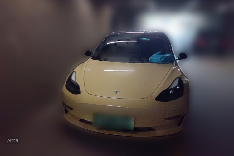 Tesla Model 3 2022 #3 Tesla Model 3 2022 car image #3