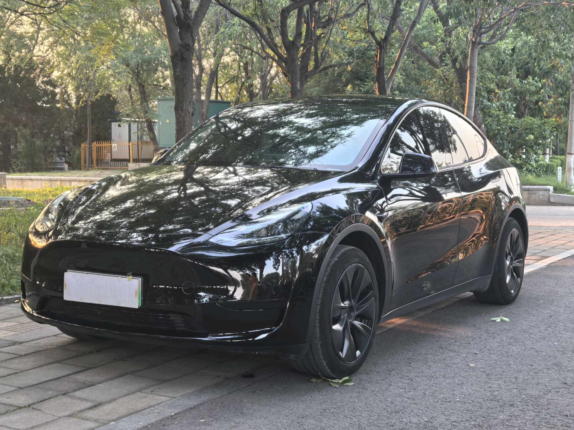Tesla Model Y 2023 Tesla Model Y 2023 car image