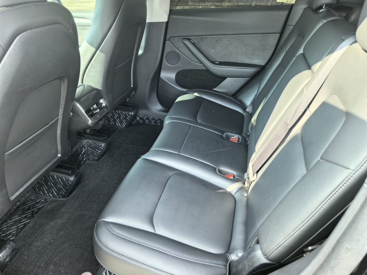 Tesla Model Y 2024 car image #6