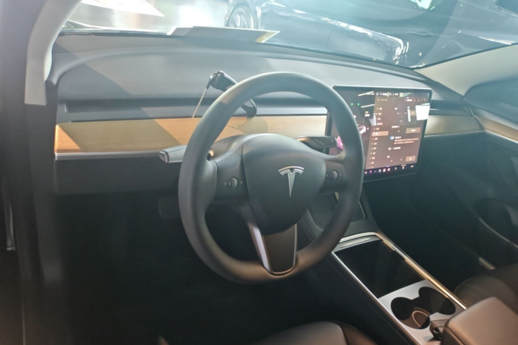 Tesla Model 3 2023 car image #10