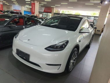 Tesla Model Y 2022 Tesla Model Y 2022 car image