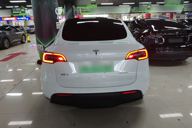 Tesla Model Y 2023 #6 Tesla Model Y 2023 car image #6
