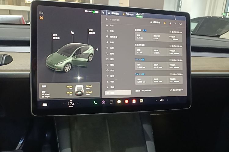 Tesla Model Y 2021 car image #13