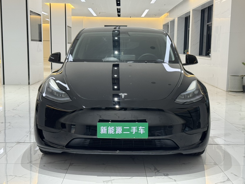 Tesla Model Y 2022 car image #2