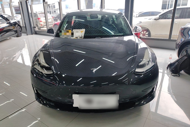 Tesla Model 3 2020 #3 Tesla Model 3 2020 car image #3