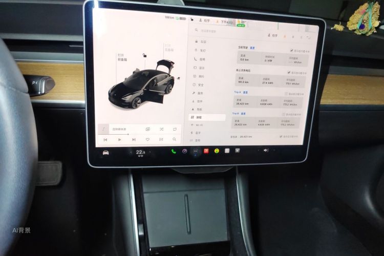 Tesla Model 3 2020 car image #15