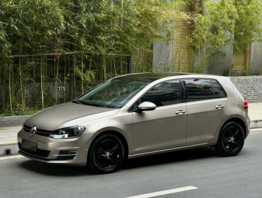 Volkswagen Golf 2014 Volkswagen Golf 2014 car image