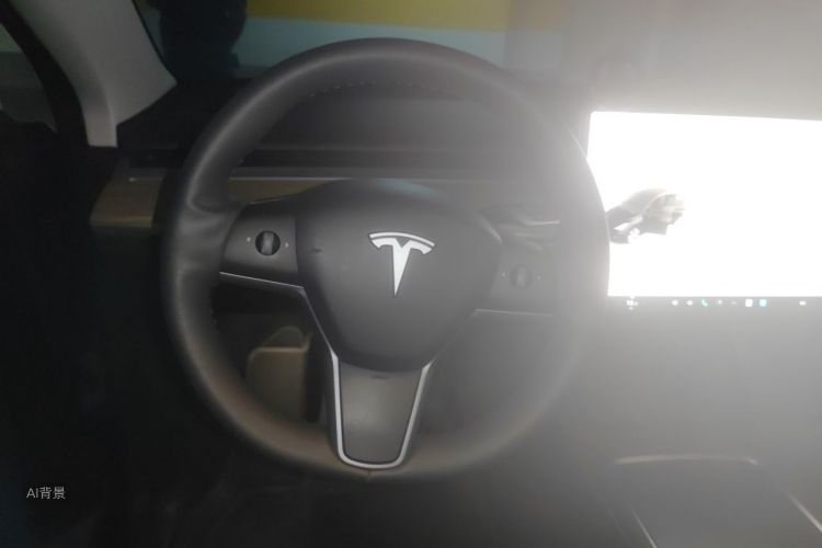 Tesla Model Y 2023 #12 Tesla Model Y 2023 car image #12