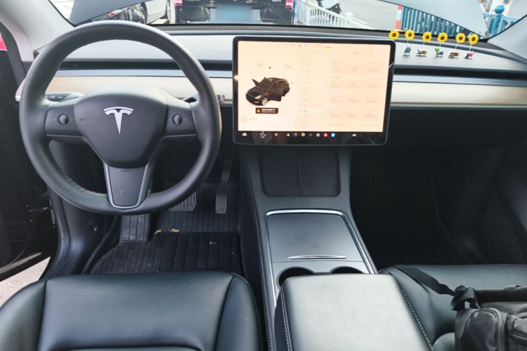 Tesla Model Y 2021 #10 Tesla Model Y 2021 immagine di auto #10