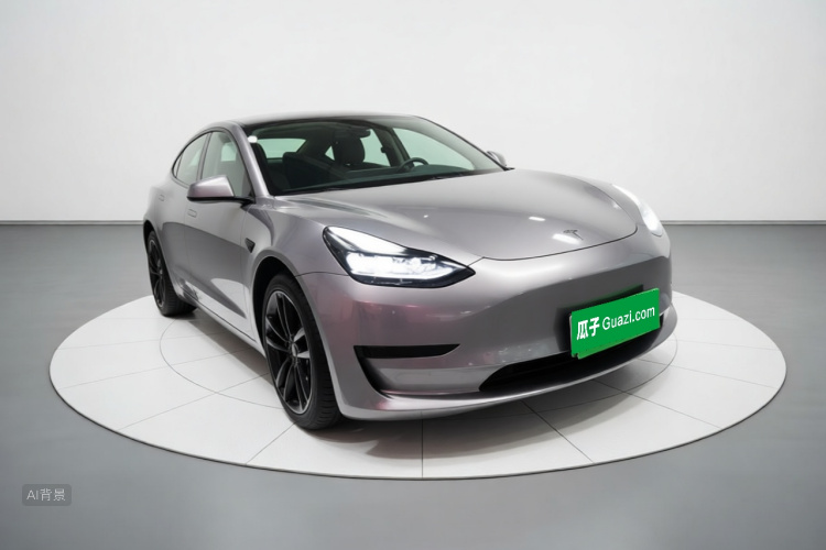 Tesla Model 3 2022 car image #4