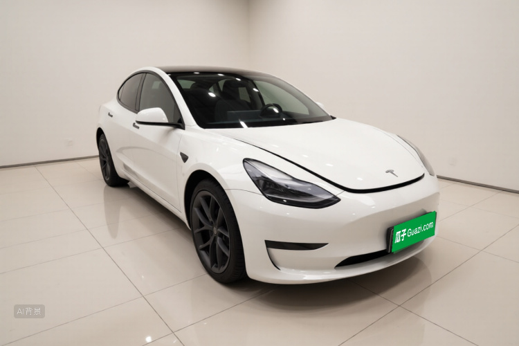 Tesla Model 3 2021 car image #4