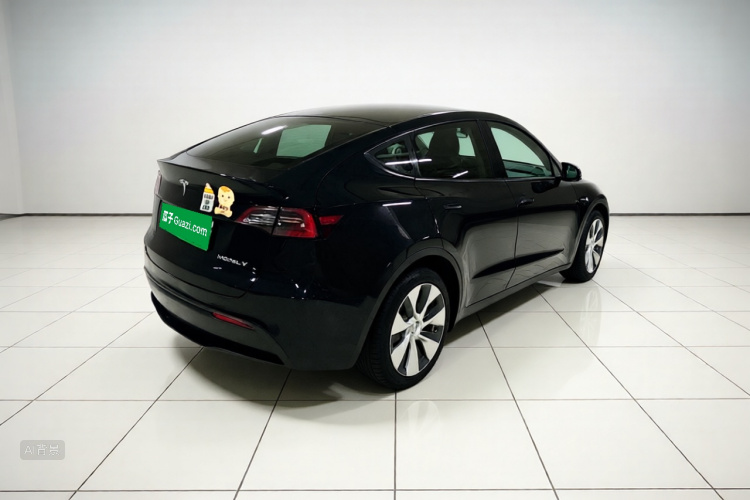 Tesla Model Y 2021 car image #7