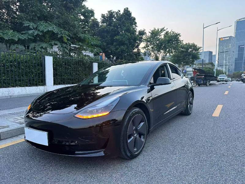 Tesla Model 3 2022 Tesla Model 3 2022 car image