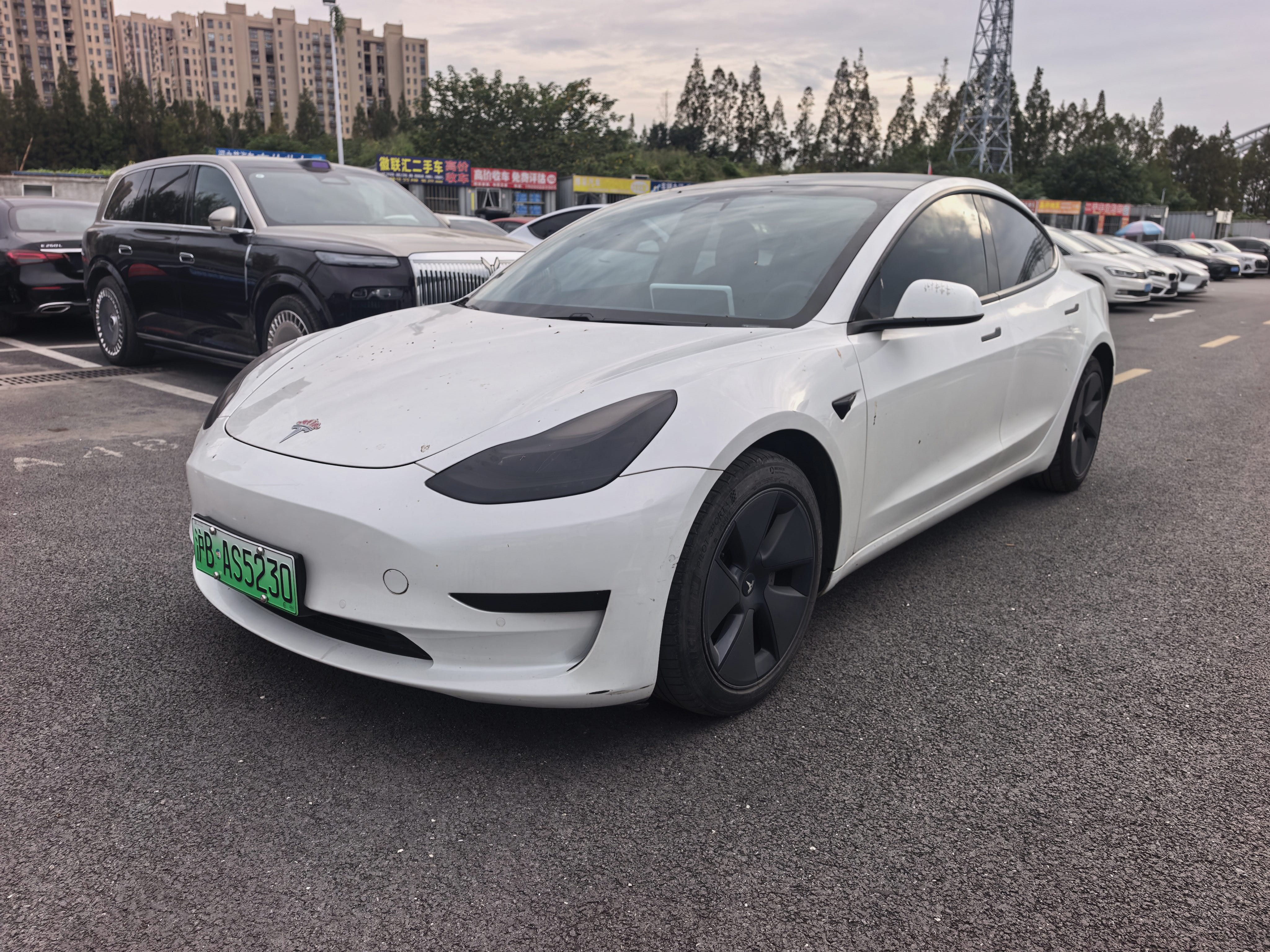 Tesla Model 3 2021 car image 