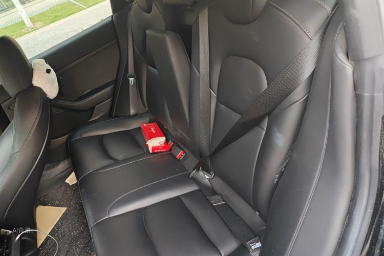 Tesla Model 3 2022 #19 Tesla Model 3 2022 car image #19