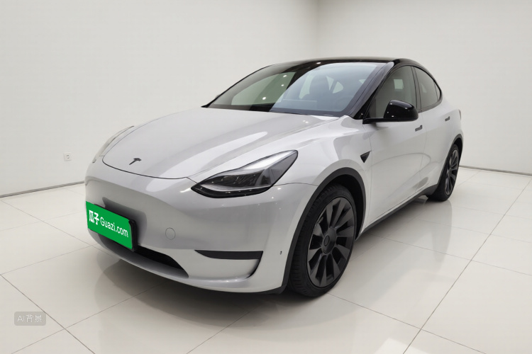 Tesla Model Y 2021 immagine di auto #2