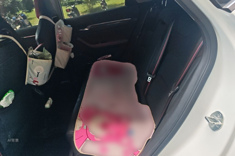 GEELY Emgrand S 2021 car image #14
