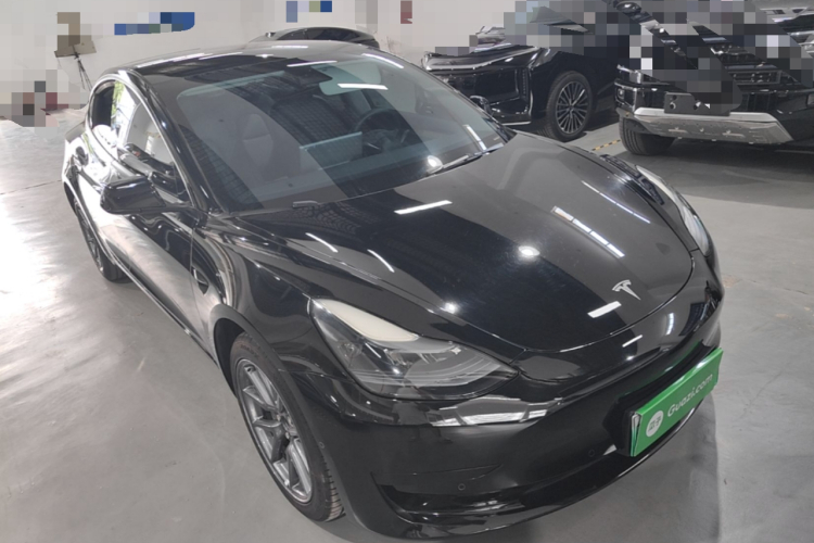 Tesla Model 3 2023 car image #4