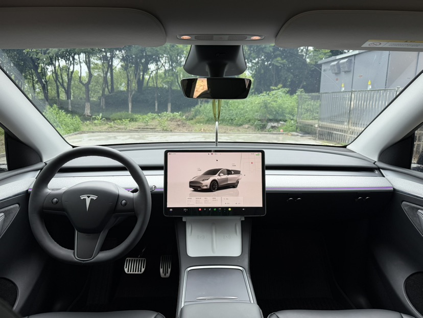 Tesla Model Y 2024 car image #6