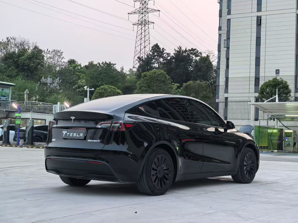 Tesla Model Y 2023 #6 Tesla Model Y 2023 car image #6