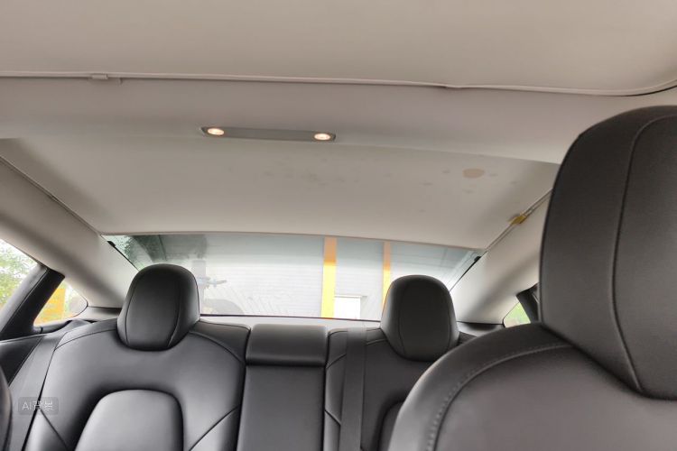 Tesla Model 3 2020 car image #20