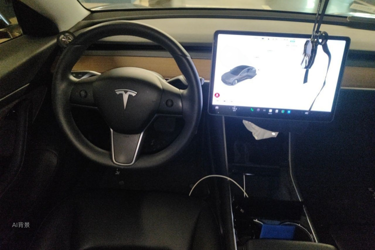 Tesla Model 3 2020 car image #11
