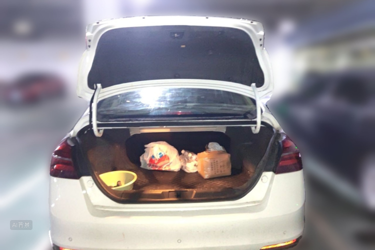 GEELY Emgrand 2019 car image #21