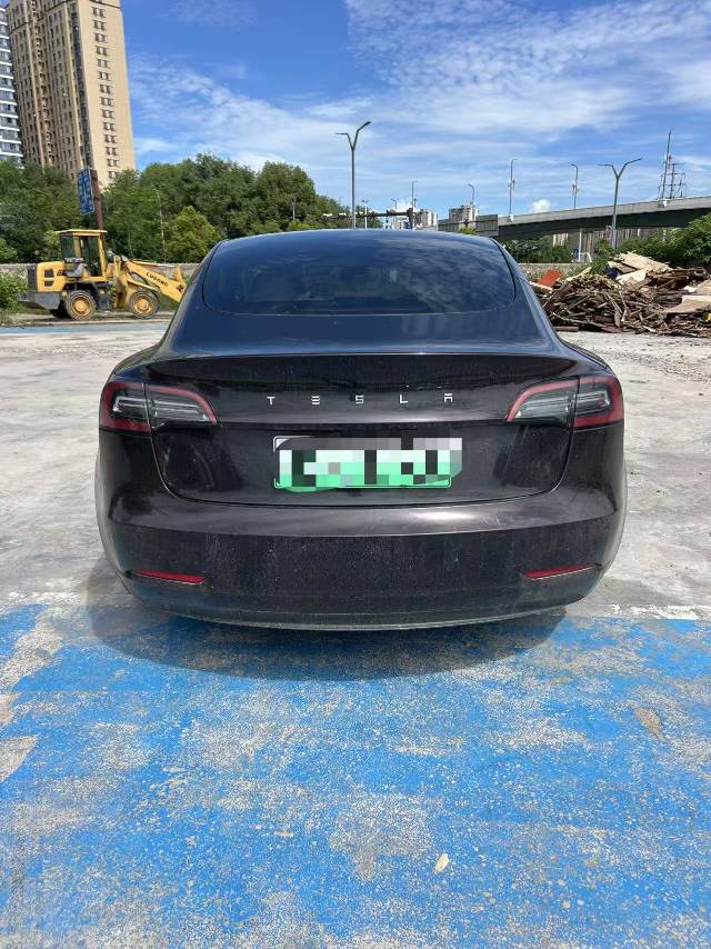Tesla Model 3 2021 #6 Tesla Model 3 2021 car image #6