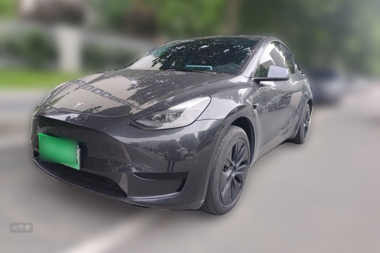 Tesla Model Y 2024 car image #2