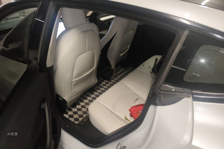 Tesla Model 3 2021 immagine di auto #19