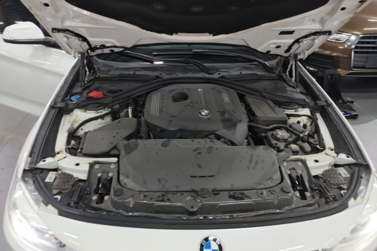 BMW 3 Series GT 2018 #20 BMW 3 Series GT 2018 car image #20