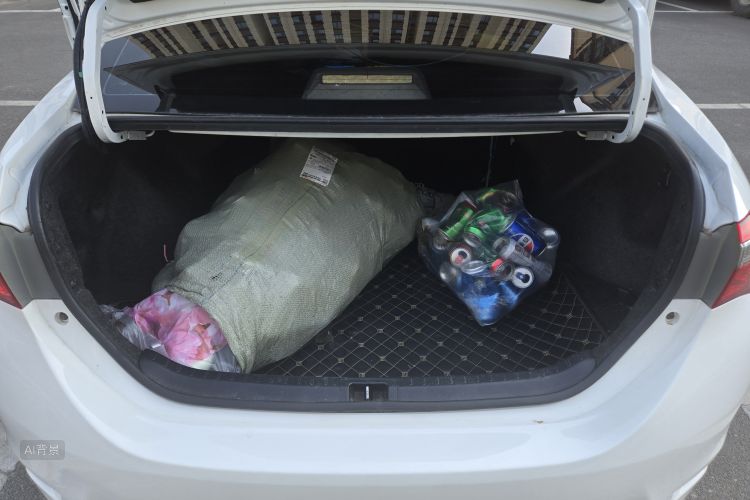 Toyota Corolla 2019 car image #21