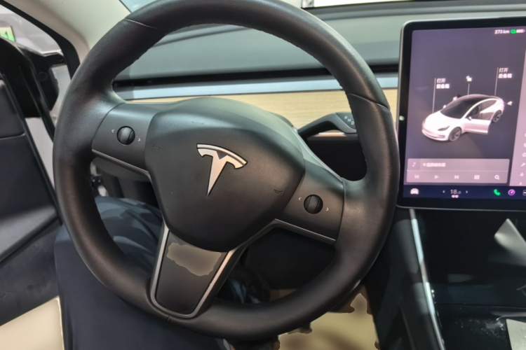 Tesla Model 3 2020 #11 Tesla Model 3 2020 car image #11
