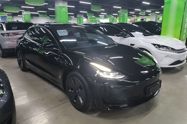 Tesla Model 3 2021 #4 Tesla Model 3 2021 immagine di auto #4