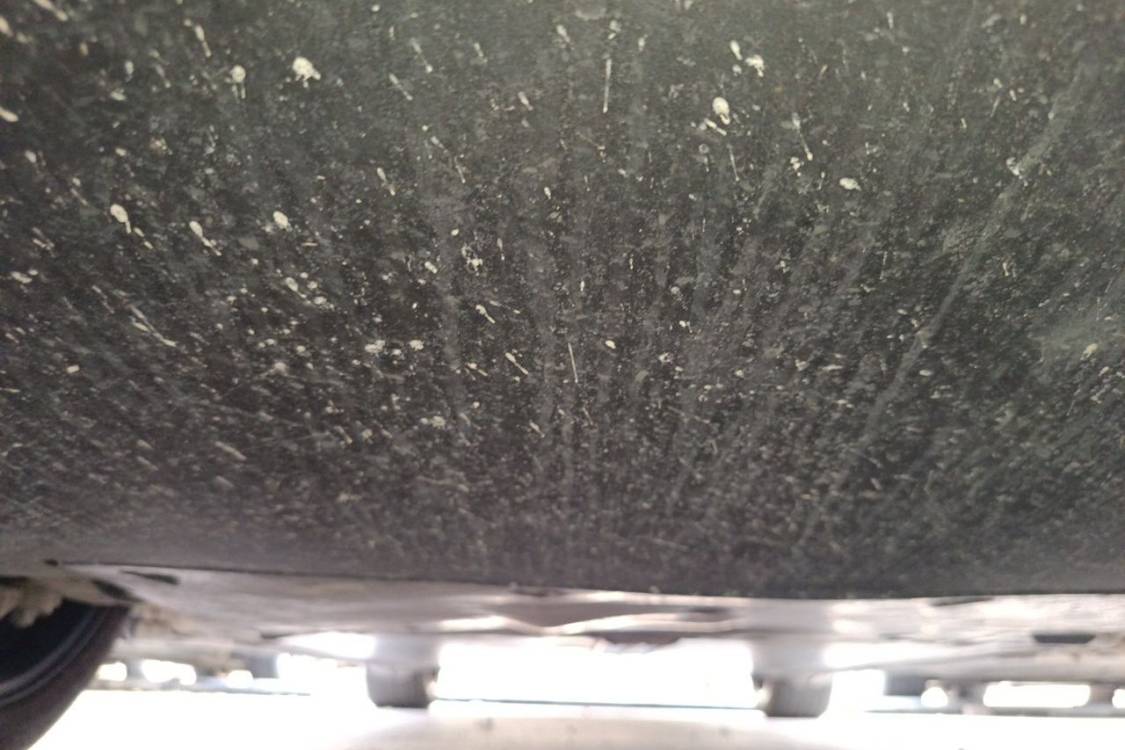 Tesla Model Y 2024 car image #13
