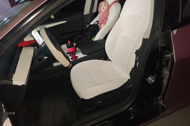 Tesla Model 3 2022 #17 Tesla Model 3 2022 car image #17
