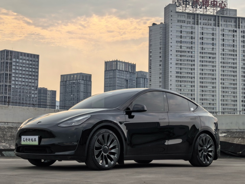 Tesla Model Y 2023 Tesla Model Y 2023 car image