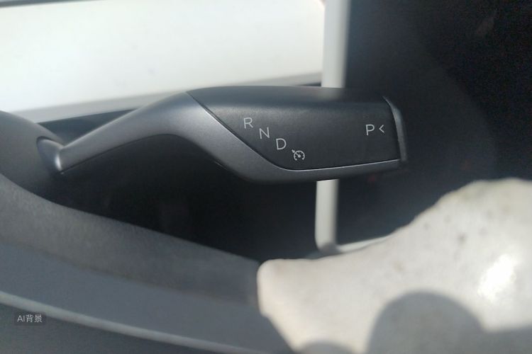 Tesla Model Y 2022 car image #16